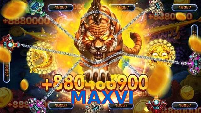 MAXVI